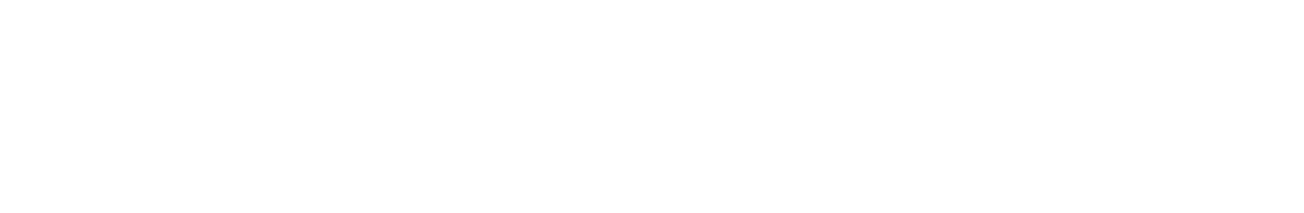 Logo-Lais-2025